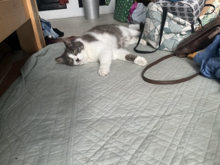 3��30��(��) ��������Ⴂ