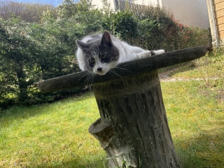 �ˁ[���͏o�΂ł�