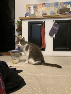 3��31��(��) ��������V�N�x