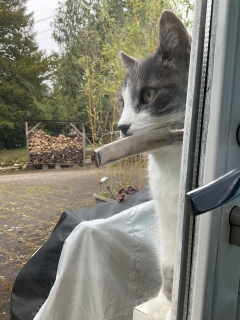 4��1��(��) ��������V�N�x�ł�