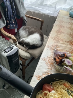 �ˁ[���͂������͂�