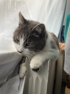 �ʂ������Ƃ��Ă�