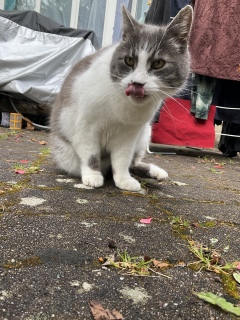 4��2��(��) ��y���b