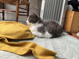 ���z�c�ƃZ�[�^�[�g���Ă�