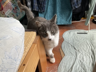 4��3��(��) ���肷��