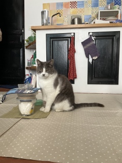 ���K�������S�苭��