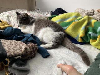 ���킢��������