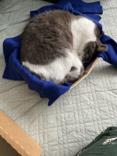 �ߌ�̒��Q�ꏊ�ɑI�΂�܂����I