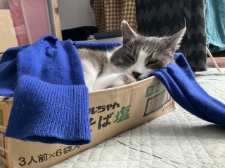 �������ˁ[��������������