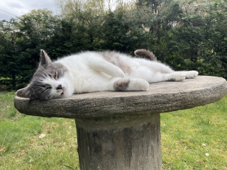 �������D��