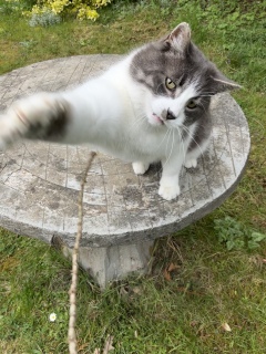 ���\��L�@��