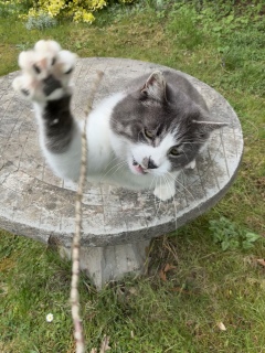 ���\��L�@��