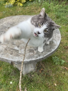 ���\��L�@�O