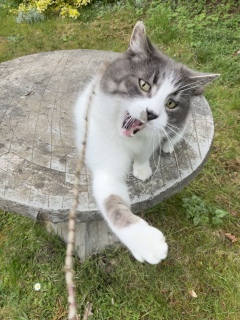 ���\��L�@�l