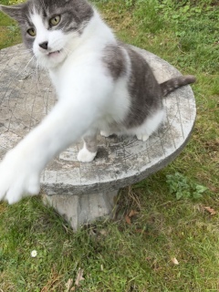 ���\��L�@��