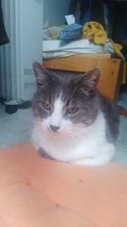 4��4��(�y)�@���͂悤�L���