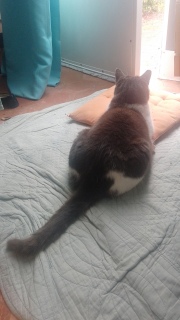 ����ԁ@��