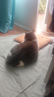 ����ԁ@��