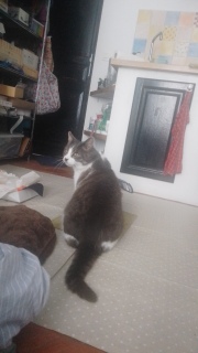 �O�����痈�Ă���Ƃ���