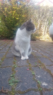 ���@����񂩂��ˁ[