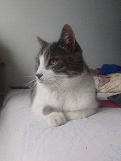 ���X�@����񂩂��ˁ[