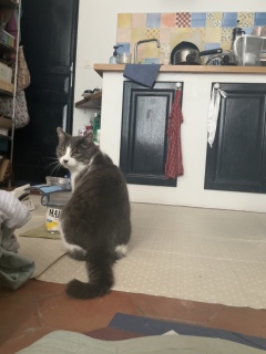 4��5��(��) ���͂悤�L���