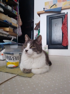 �������܁[