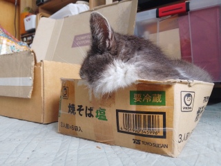 �������吷��