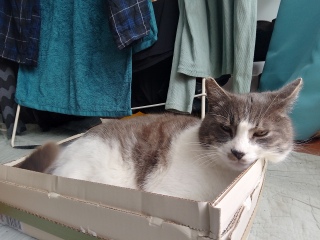 �V�������ł��͂ݏo�����j