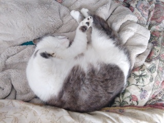 �ˁ[�������Q���悤