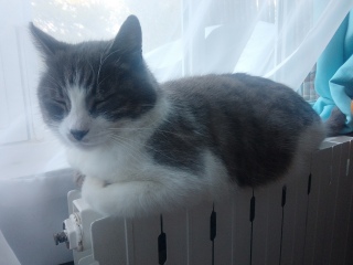 ���̖��邳�Ŗ�7����