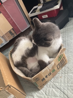 ����̎ʐ^�ł�