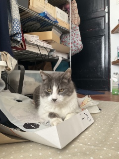 4��6��(��) ���܎���ėV�т܂���