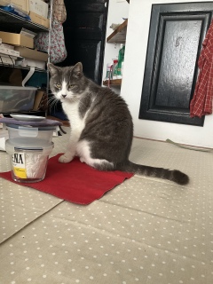 �����͂����V�C���