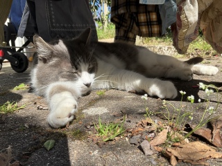 �t�������܂�