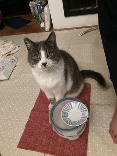 �������܁[