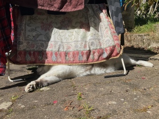 �����͏����Ǝv����