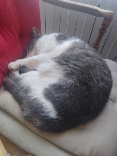 ���̂��Ƃ�