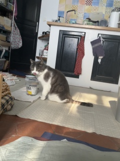 4��9��(��) �ˁ[���͂��m�Âɏo�΂ł�