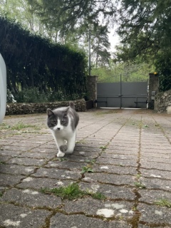 ��8���O�ł�