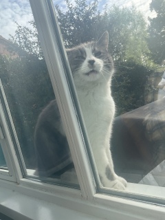 4��10��(��) ������΂������肪�Ƃ��@��