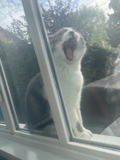 ������΂������肪�Ƃ��@��