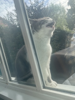 ������΂������肪�Ƃ��@�O