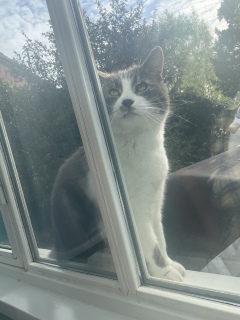 ������΂������肪�Ƃ��@�l