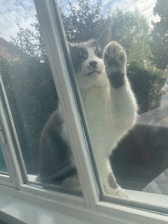 ������΂������肪�Ƃ��@��