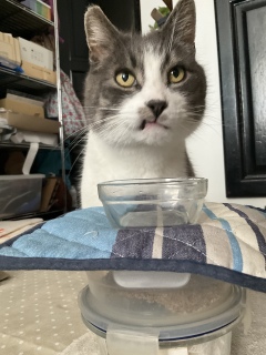 4��11��(�y) �������u�ցv