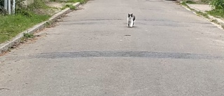 �s���Ă��܁[��