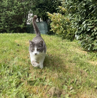 �������܁[