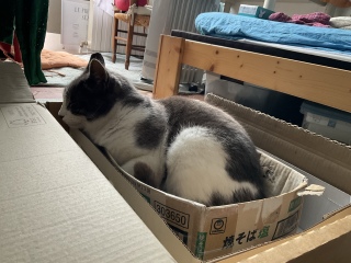 �ˁ[����������