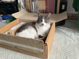 �L���������Q